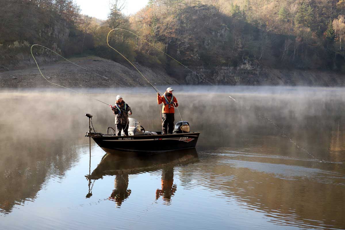 agpa-carnassier-mouche-Fades-mickael-miclet