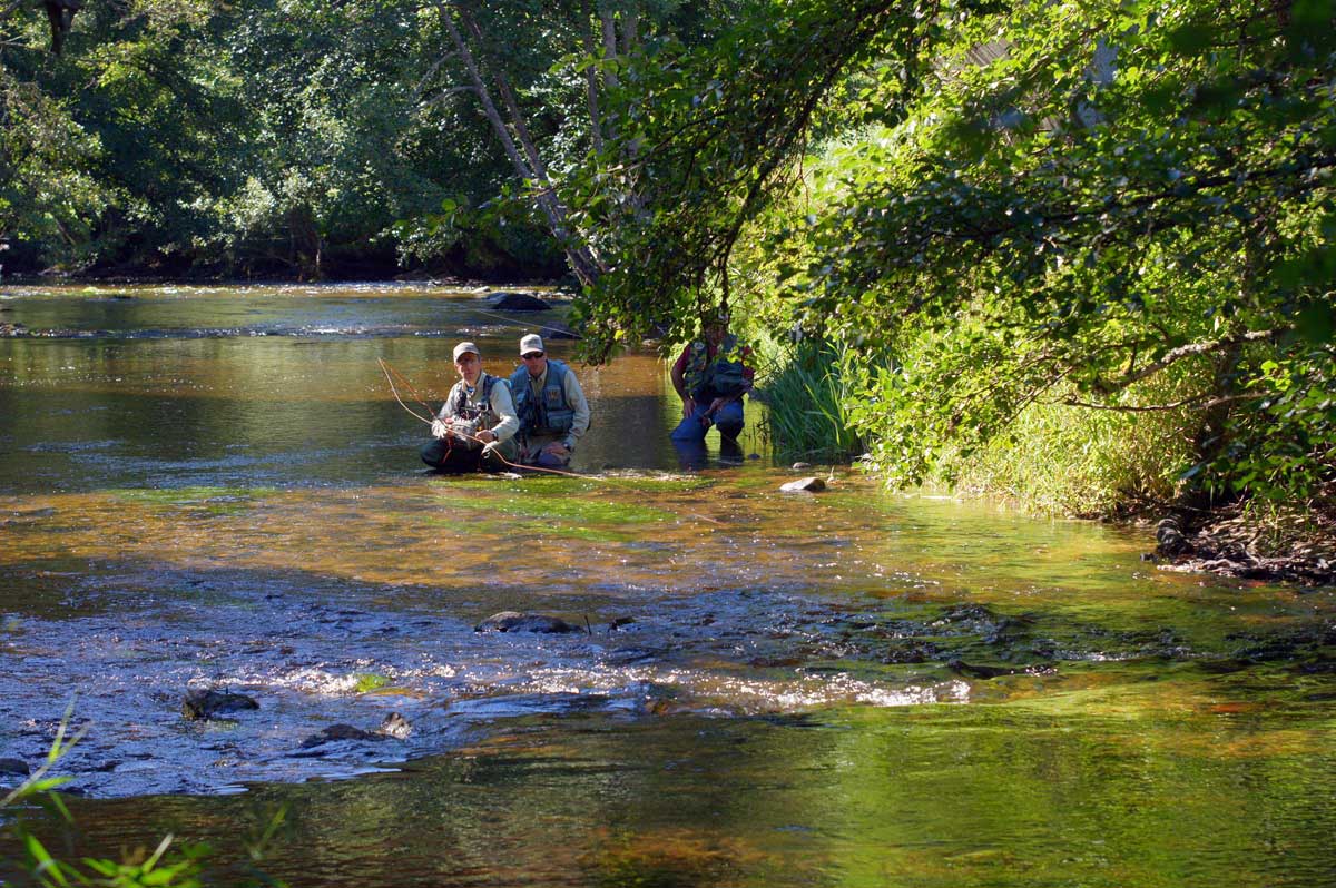 agpa-mickael-miclet-mouche-sèche-ance-nord