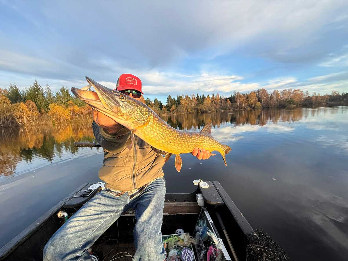 franck-coudiere-guide-mouche-carnassiers-agpa