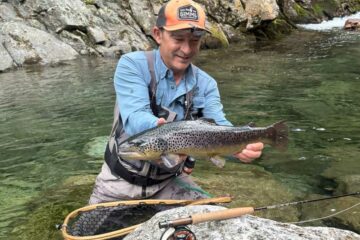 franck-coudiere-agpa-puy-de-dome